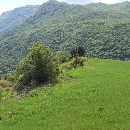 Bujtina E Tomorrit Otel Ujanik Dış mekan fotoğraf