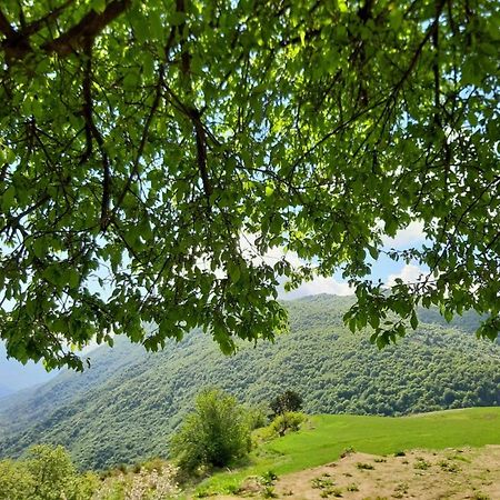 Bujtina E Tomorrit Otel Ujanik Dış mekan fotoğraf