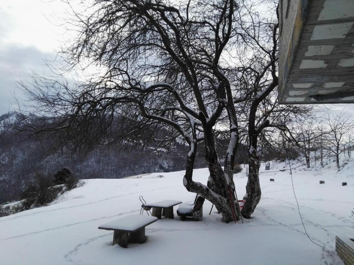 Bujtina E Tomorrit Otel Ujanik Dış mekan fotoğraf