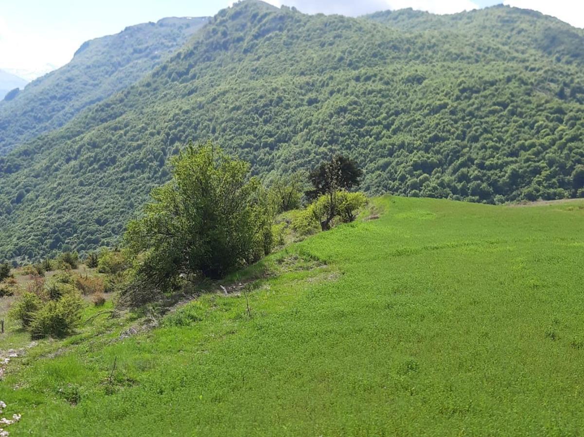 Bujtina E Tomorrit Otel Ujanik Dış mekan fotoğraf