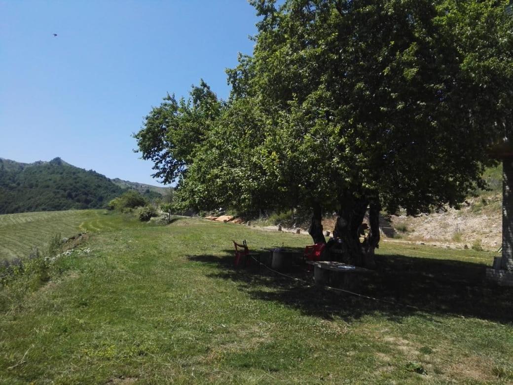 Bujtina E Tomorrit Otel Ujanik Dış mekan fotoğraf