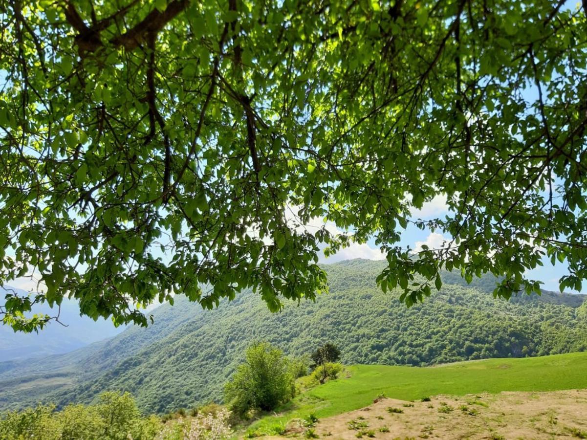 Bujtina E Tomorrit Otel Ujanik Dış mekan fotoğraf