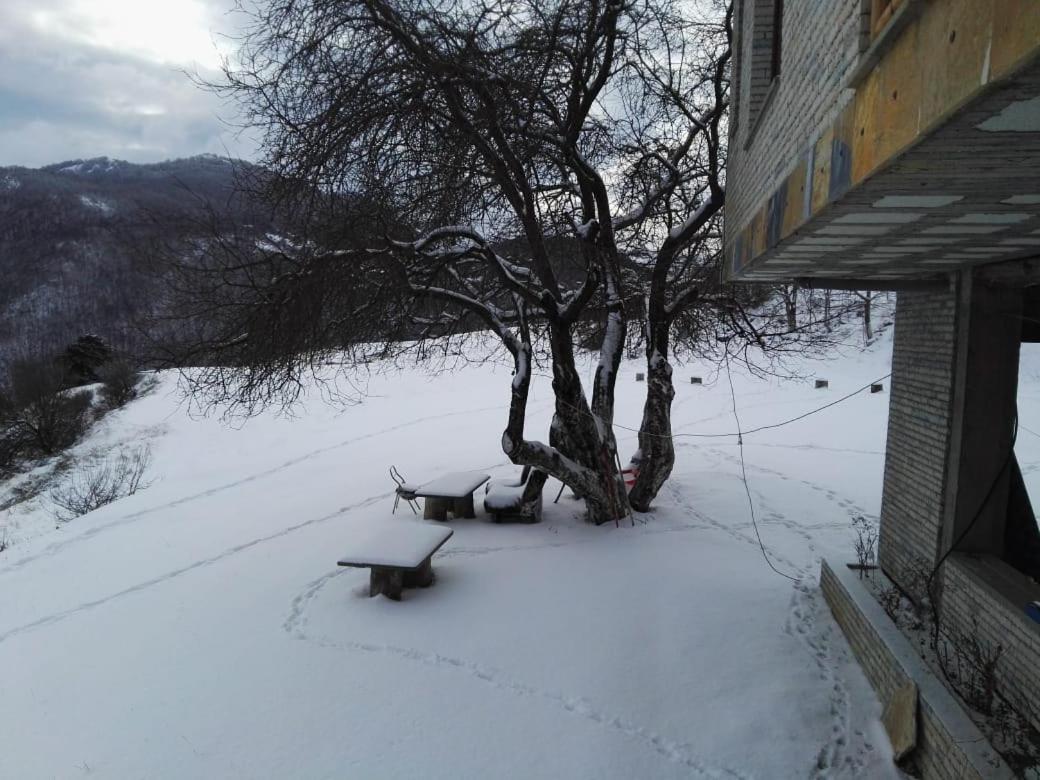 Bujtina E Tomorrit Otel Ujanik Dış mekan fotoğraf